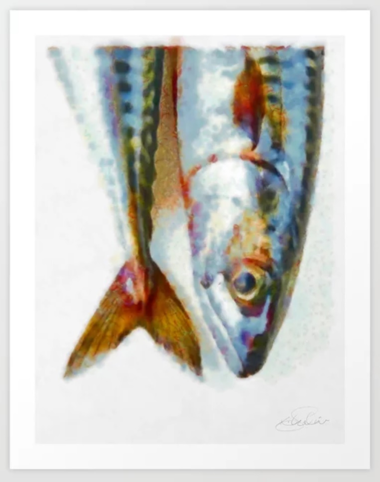Mackerel fish by Khalid Shahin