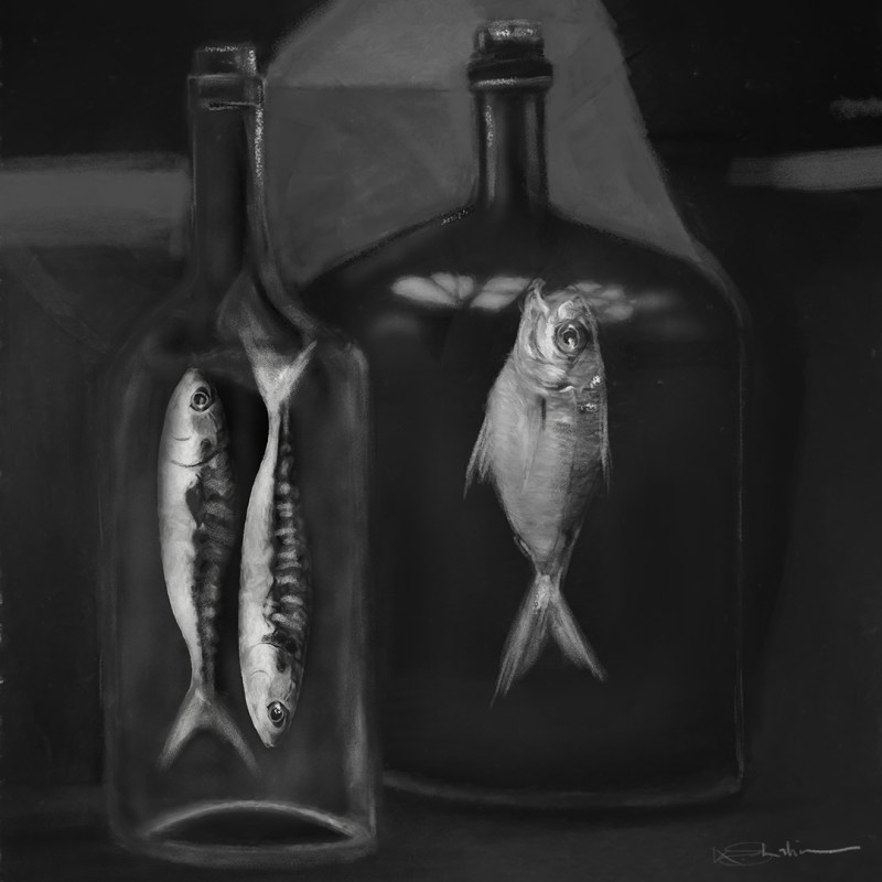 Fishes in bottles - Charcoal Limited edition